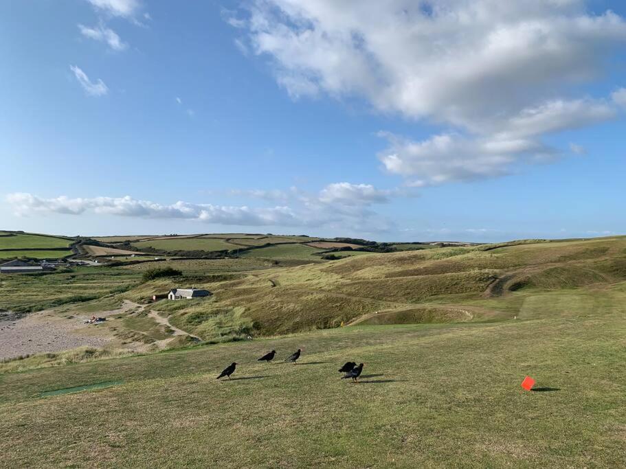 Chough Cottage Хелстън Екстериор снимка
