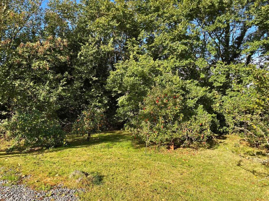 Chough Cottage Хелстън Екстериор снимка